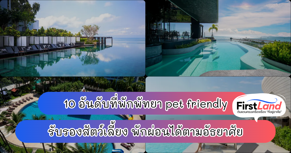 10 อันดับที่พักพัทยา pet friendly รับรองสัตว์เลี้ยง พักผ่อนได้ตามอัธยาศัย