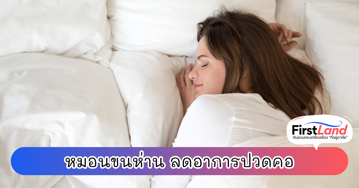 หมอนขนห่านเป็นอุปกรณ์หลับนอนที่ทุกคนควรรู้จัก เพราะมันไม่เพียงแต่นุ่มสบายและช่วยให้คุณหลับหลับสบาย แต่ยังมีประโยชน์มากมาย